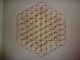 P1110040-17.JPG